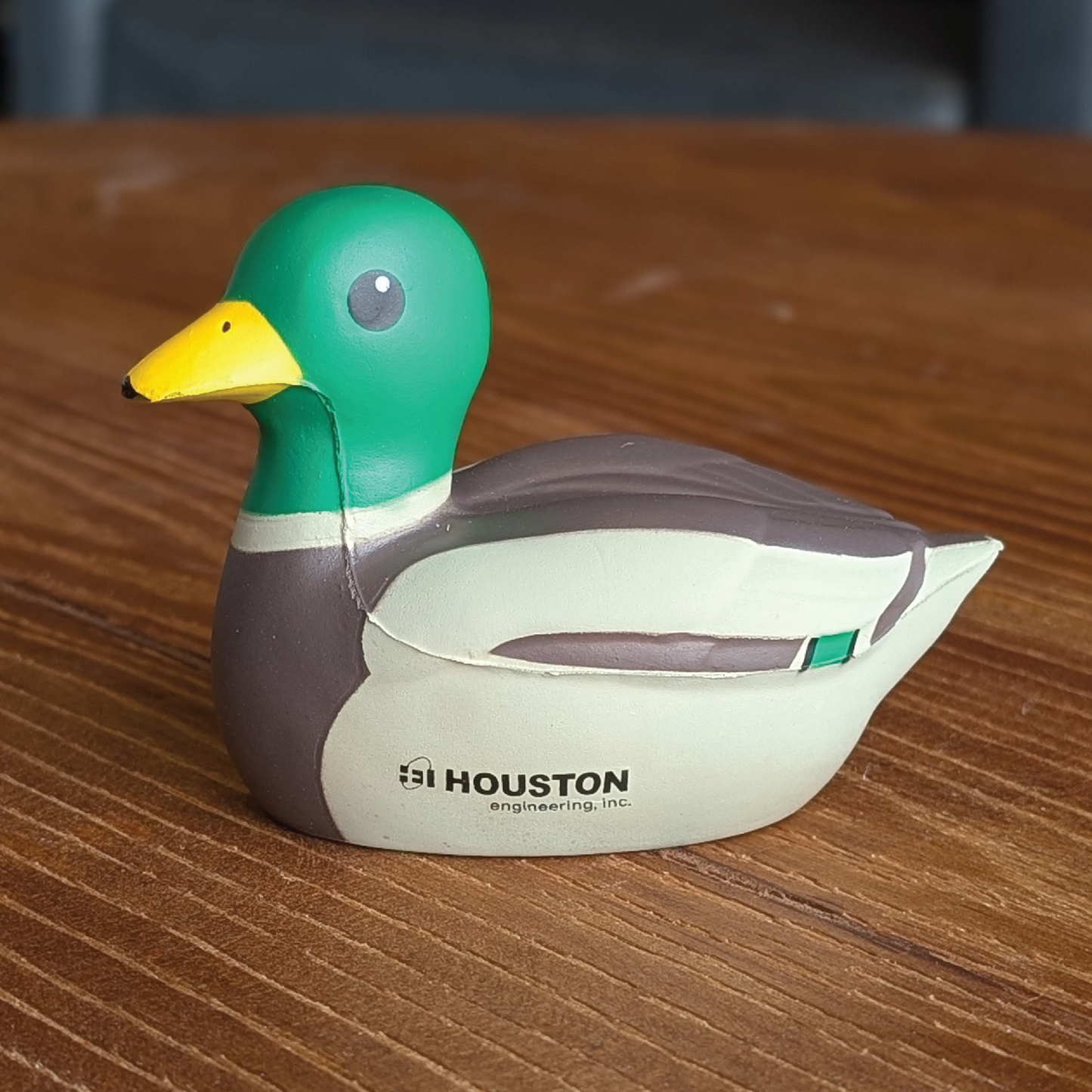 Foam Duck