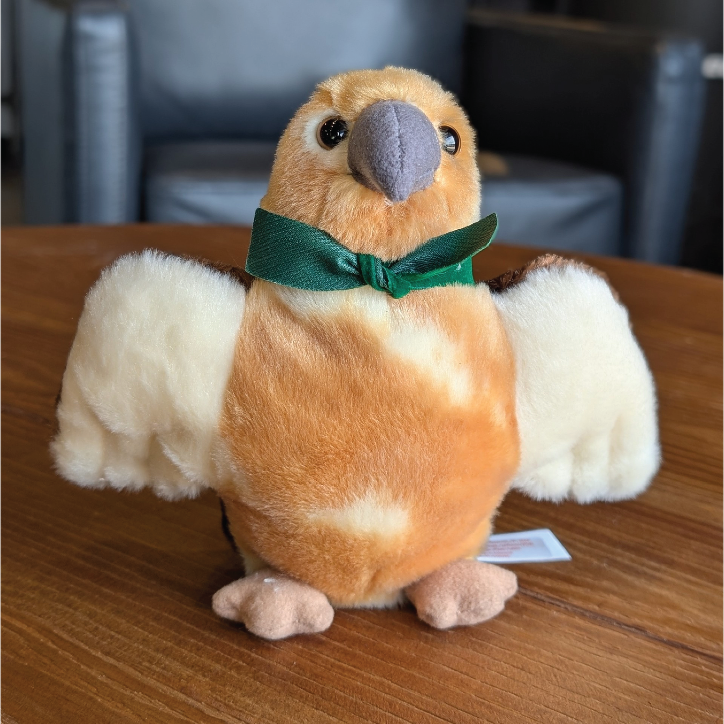 Hawk $ (31385)