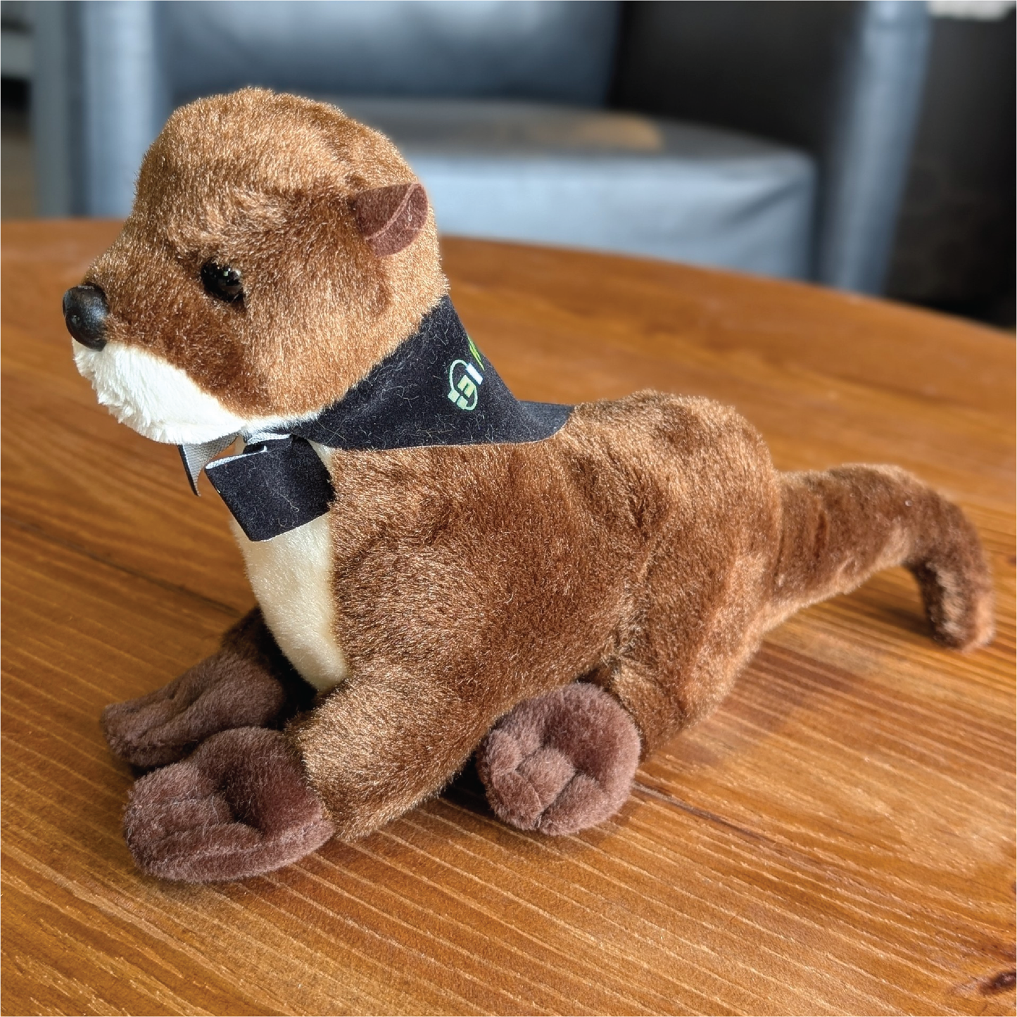 Standing Otter